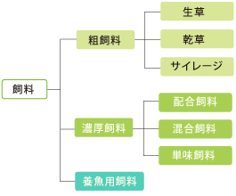 飼料の分類