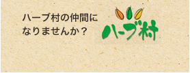 ハーブ村の仲間になりませんか？